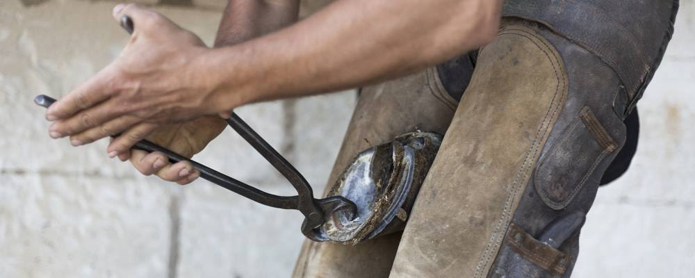 Farrier