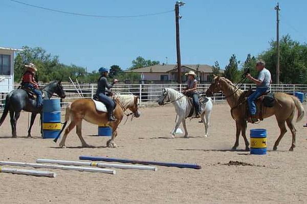 Working Equitation Play Day