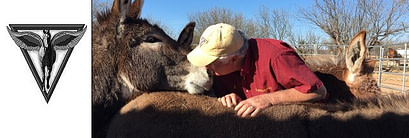 Pegasus Equine Veterinary Day