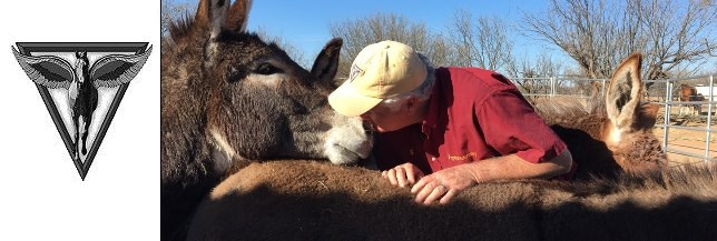 Pegasus Equine Vet