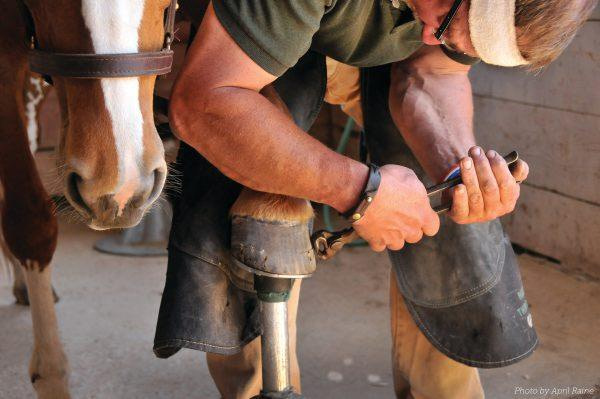 Farrier Day