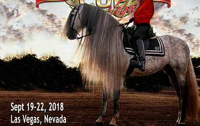 Andalusian World Cup