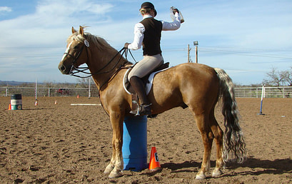 Working Equitation Group Lesson