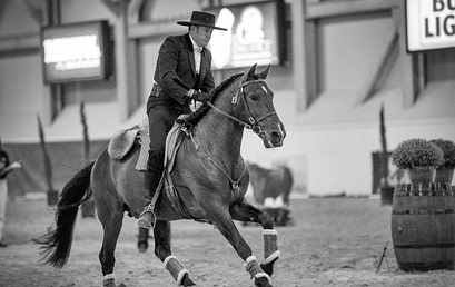 Working Equitation Clinic with Miguel Undabarrena
