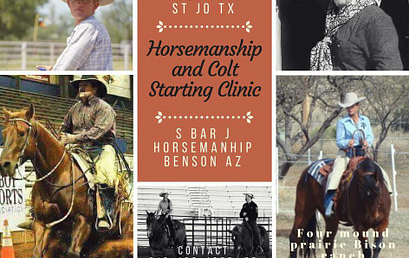 Horsemanship & Colt Starting Clinic